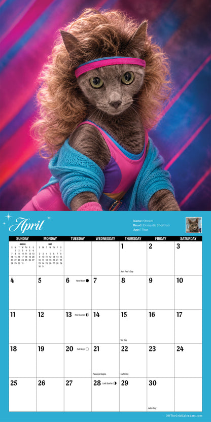 2027 Glamour Cats Calendar