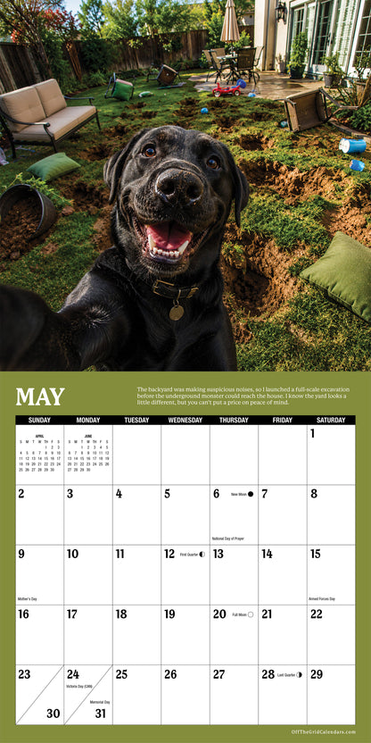 2027 Naughty Pet Selfies Calendar